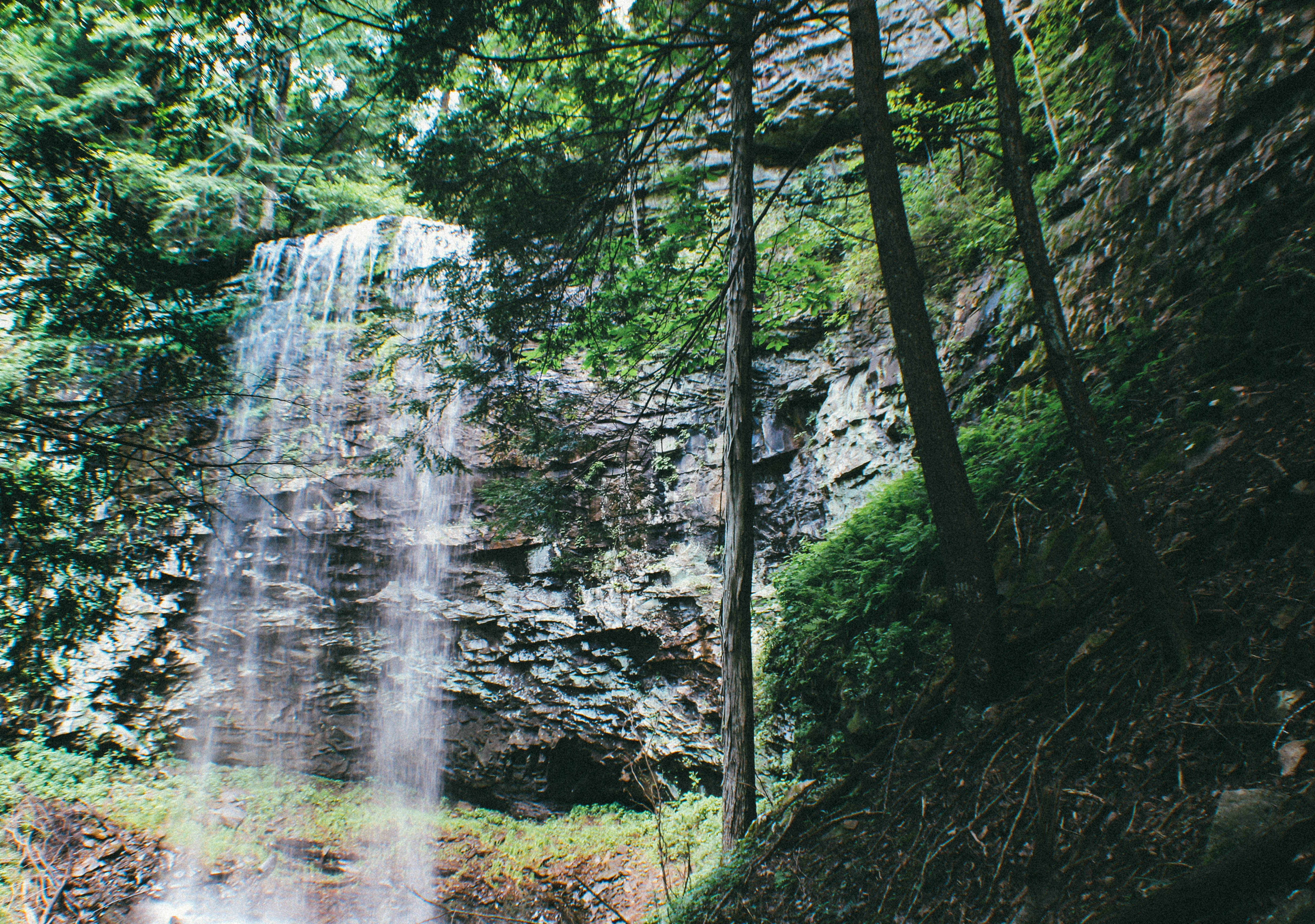 Hike the Fiery Gizzard Trail