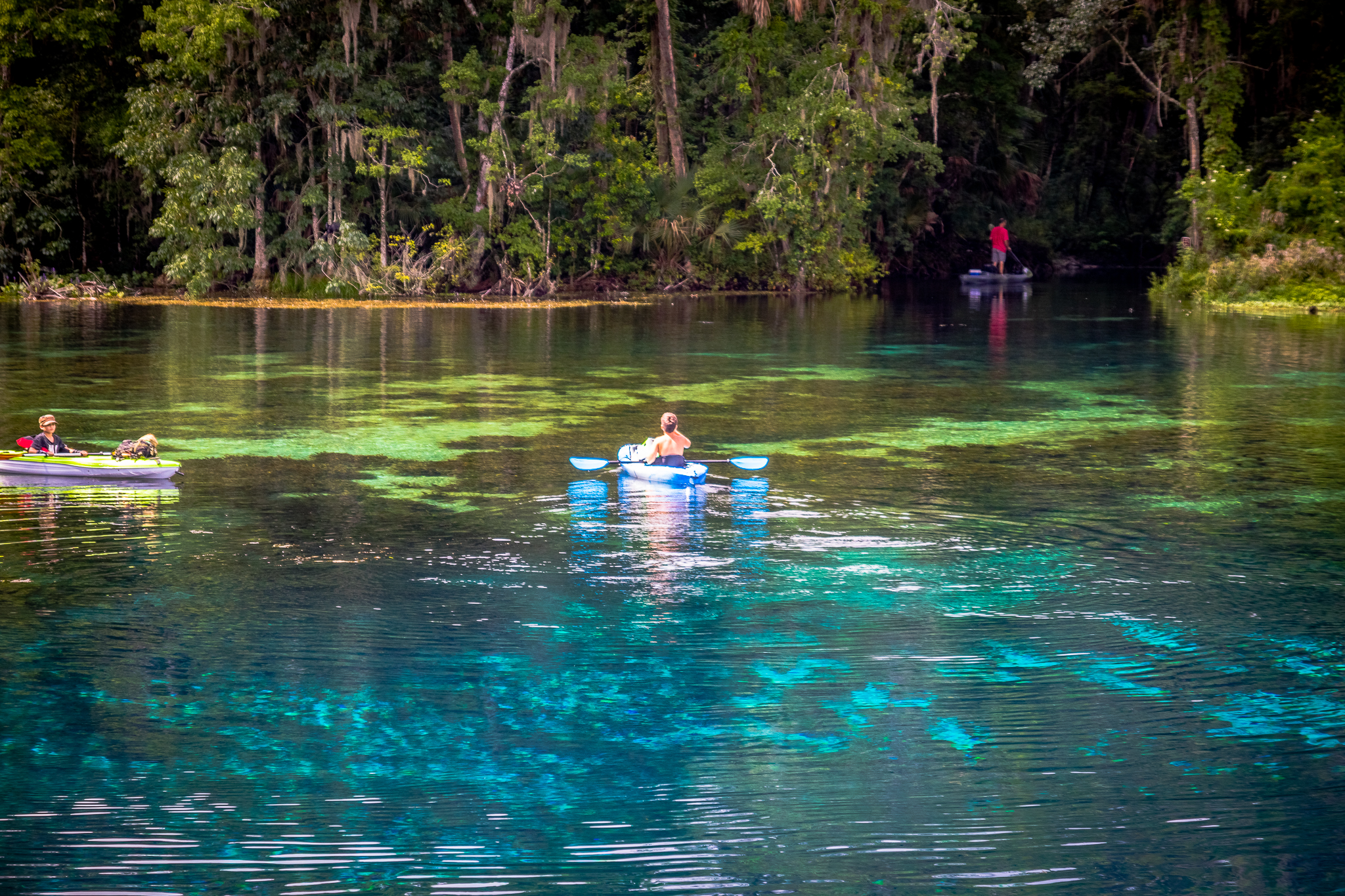 Paddle Silver Springs State Park