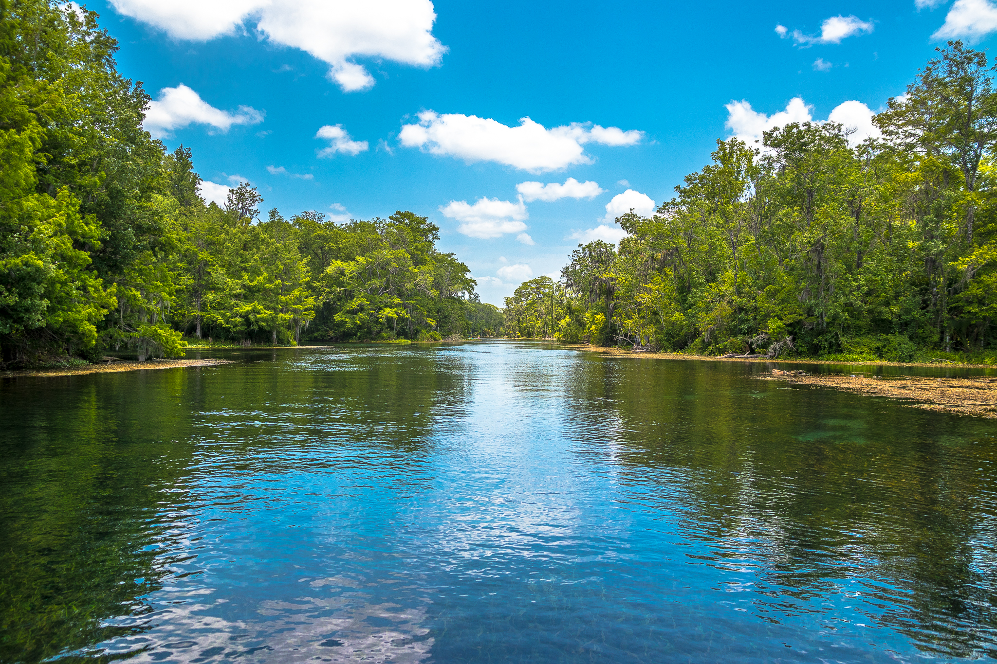 Paddle Silver Springs State Park