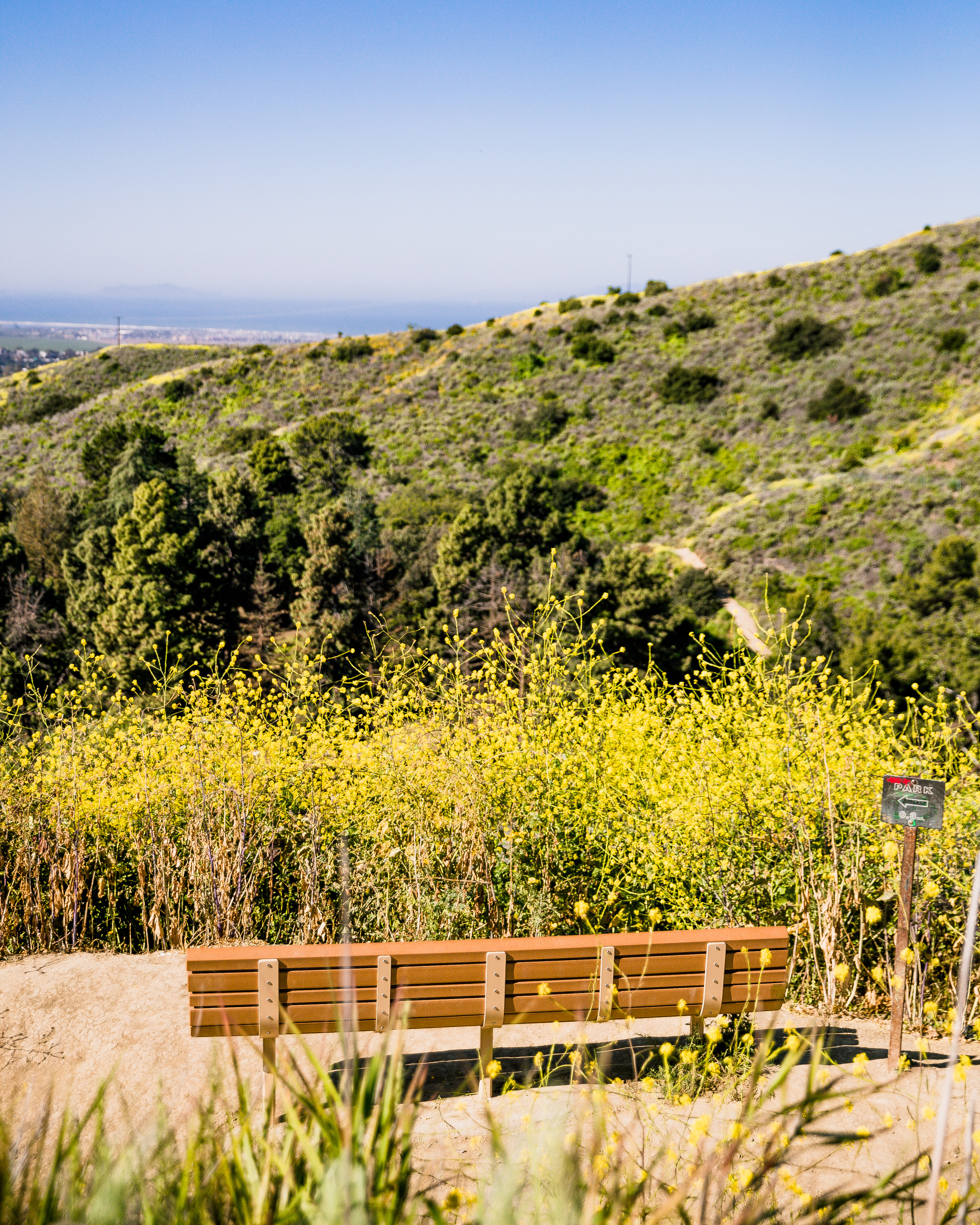 Hike Arroyo Verde Park