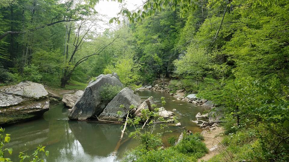 Rock Climb Foxfire at the Red River Gorge