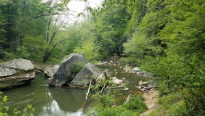 Rock Climb Foxfire at the Red River Gorge