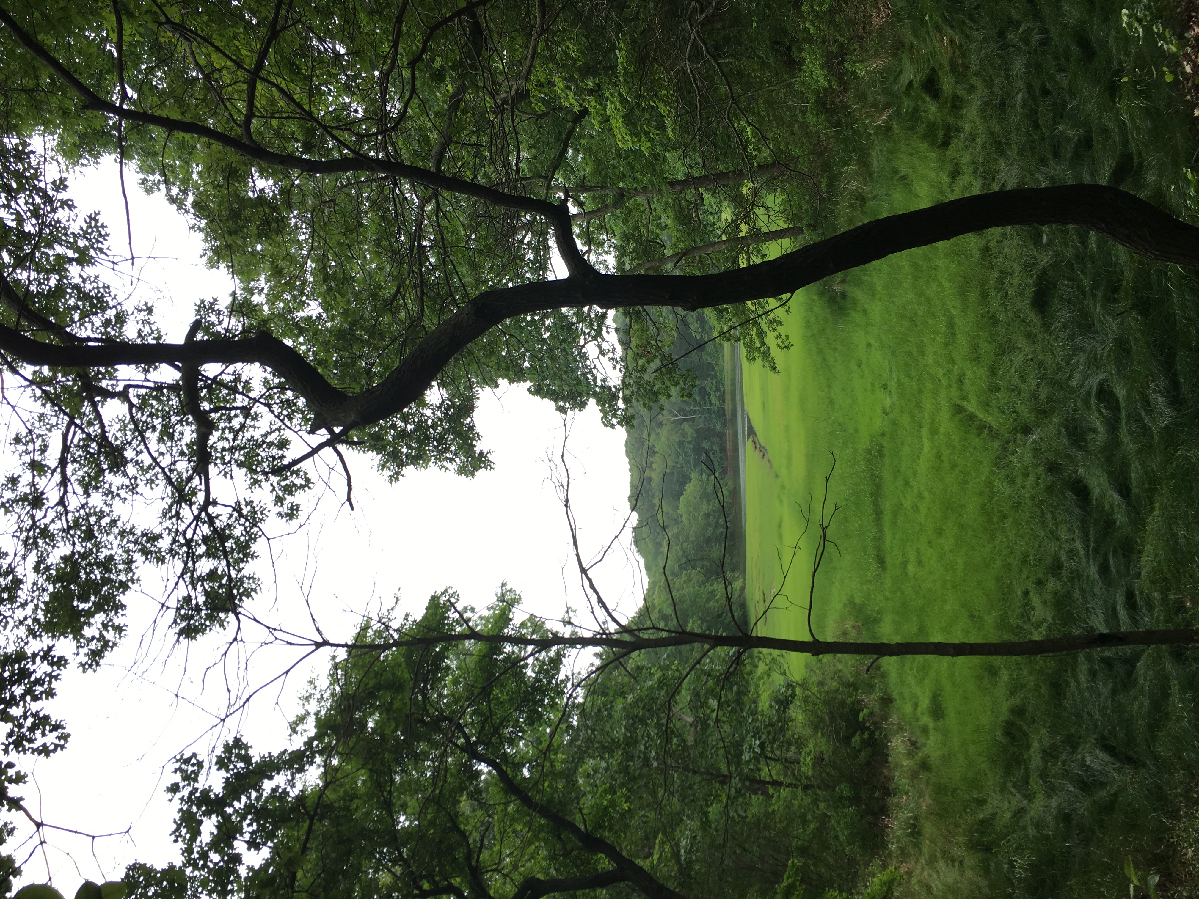 Hike through the Mashomack Nature Preserve