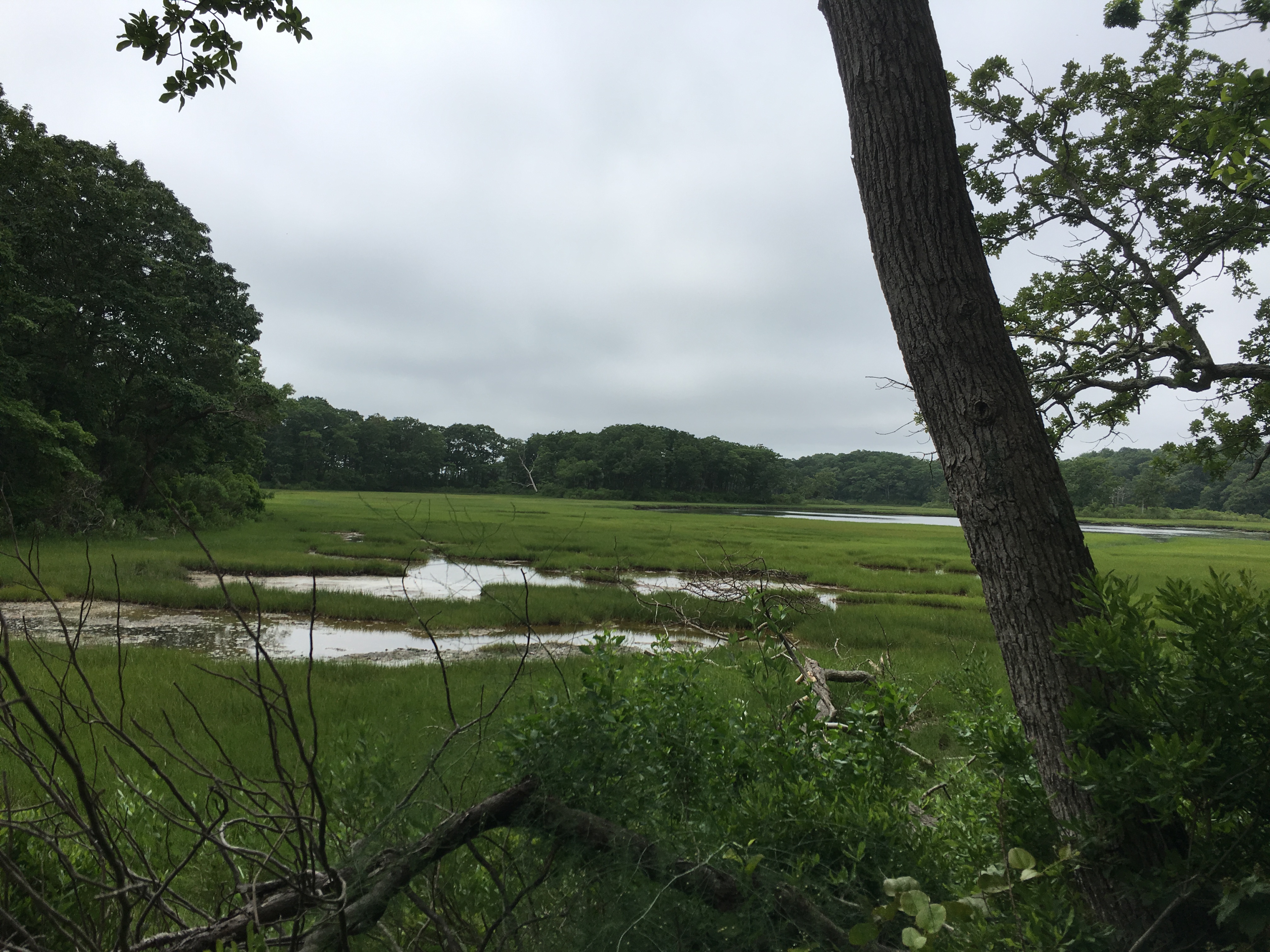 Hike through the Mashomack Nature Preserve
