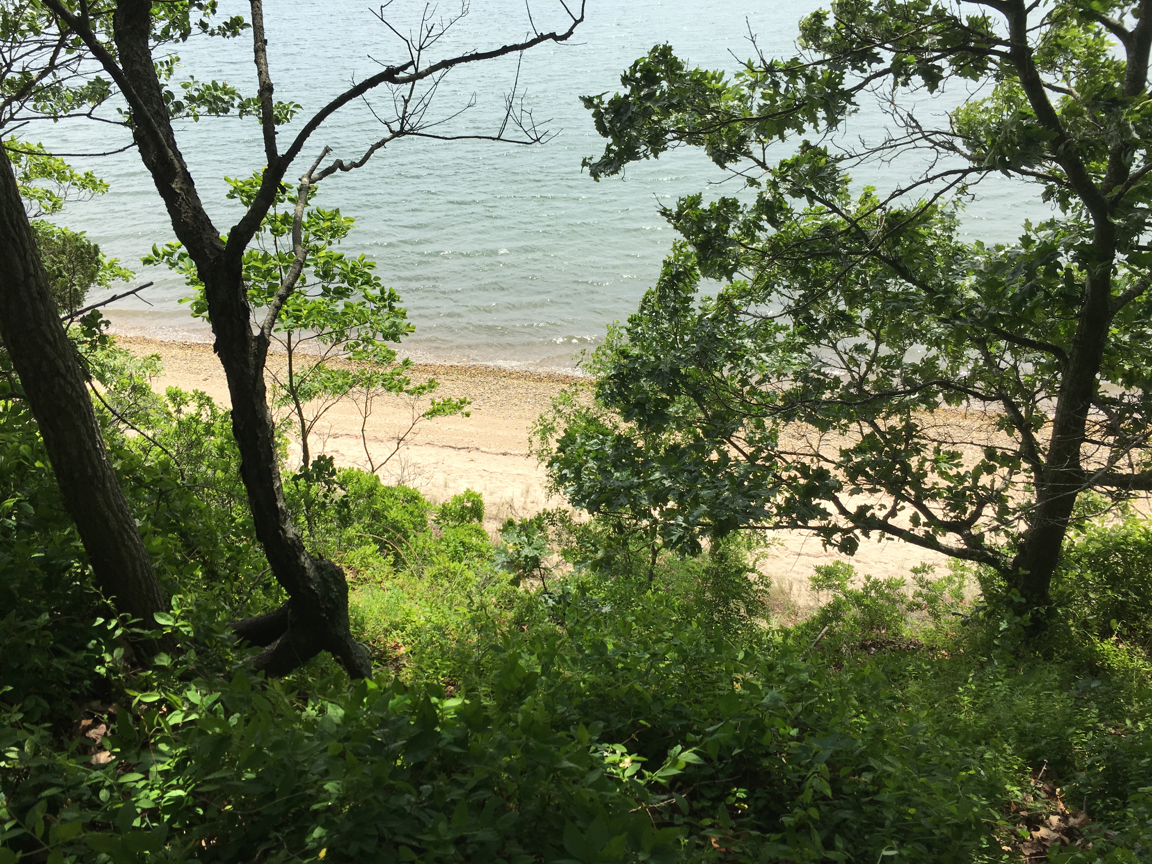 Hike through the Mashomack Nature Preserve