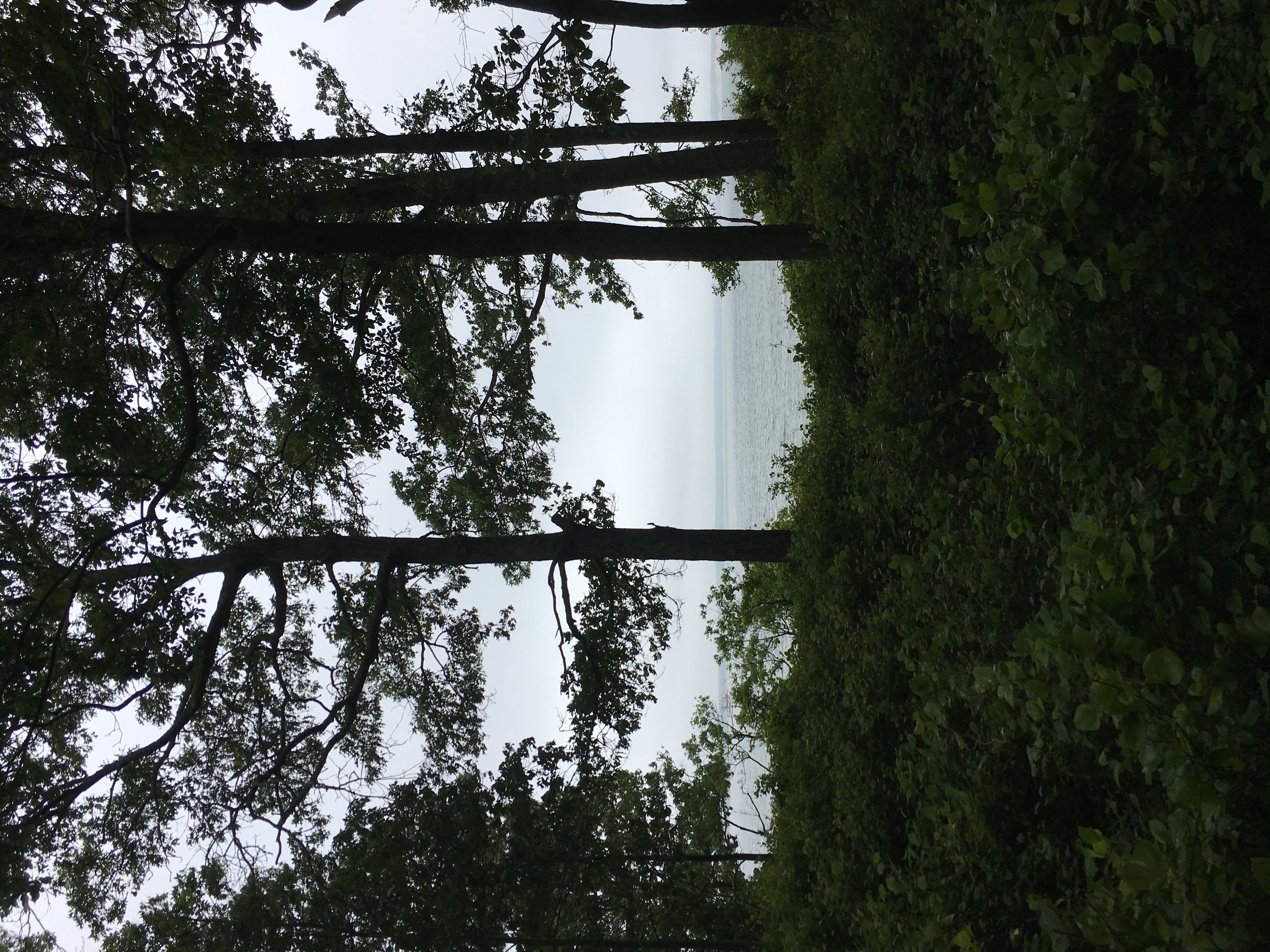 Hike through the Mashomack Nature Preserve
