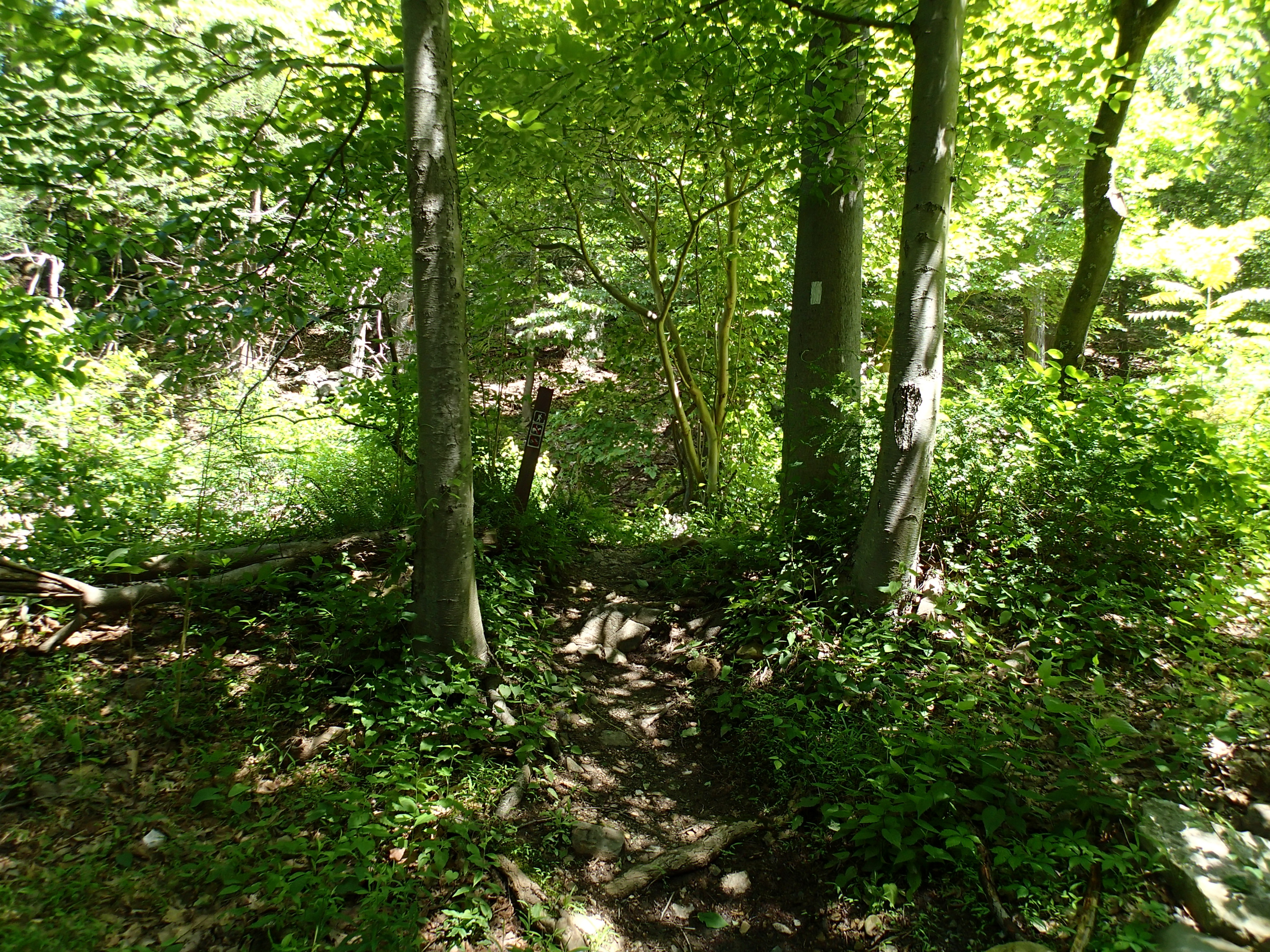 Hike the Osborn Loop