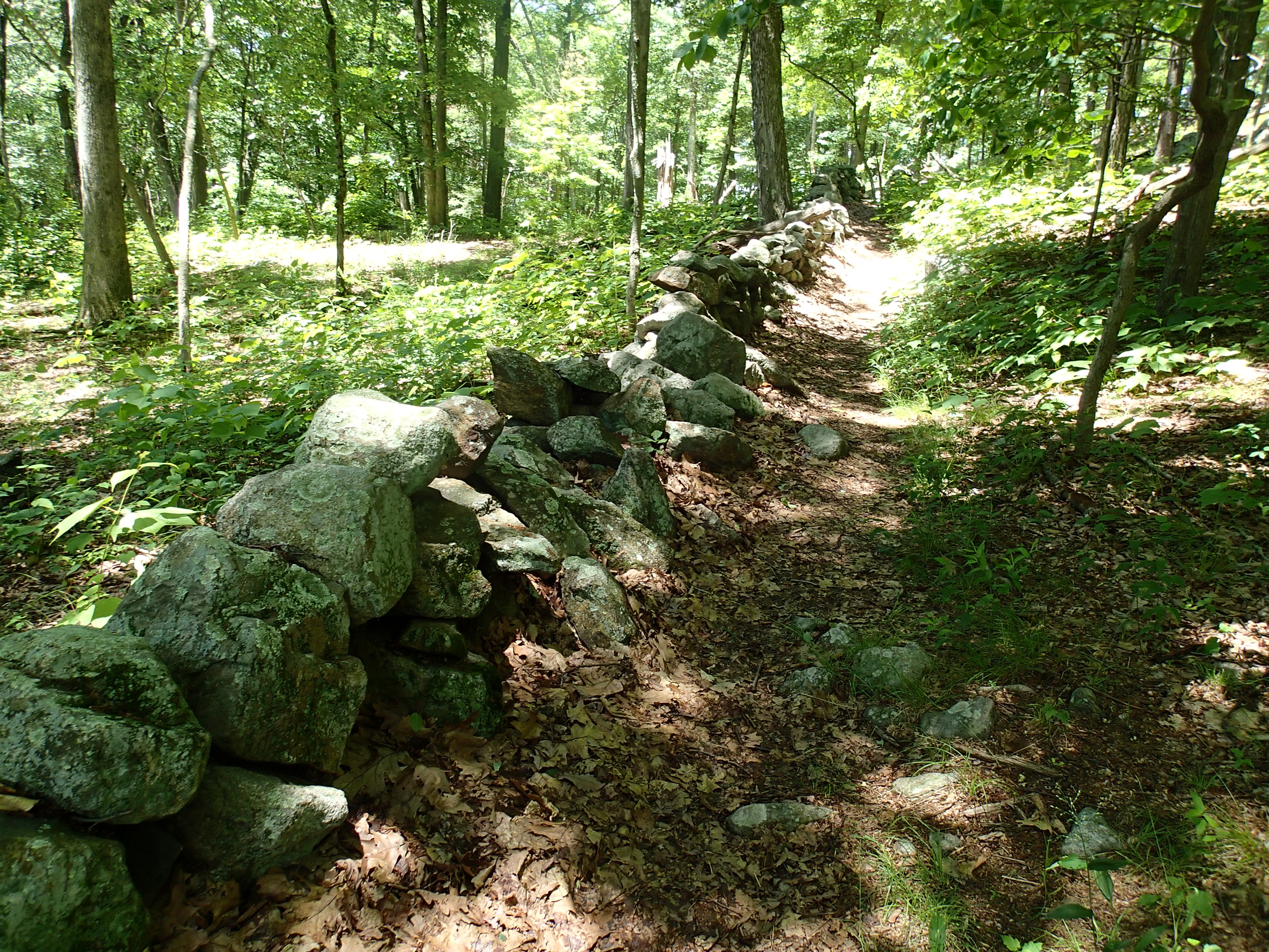Hike the Osborn Loop