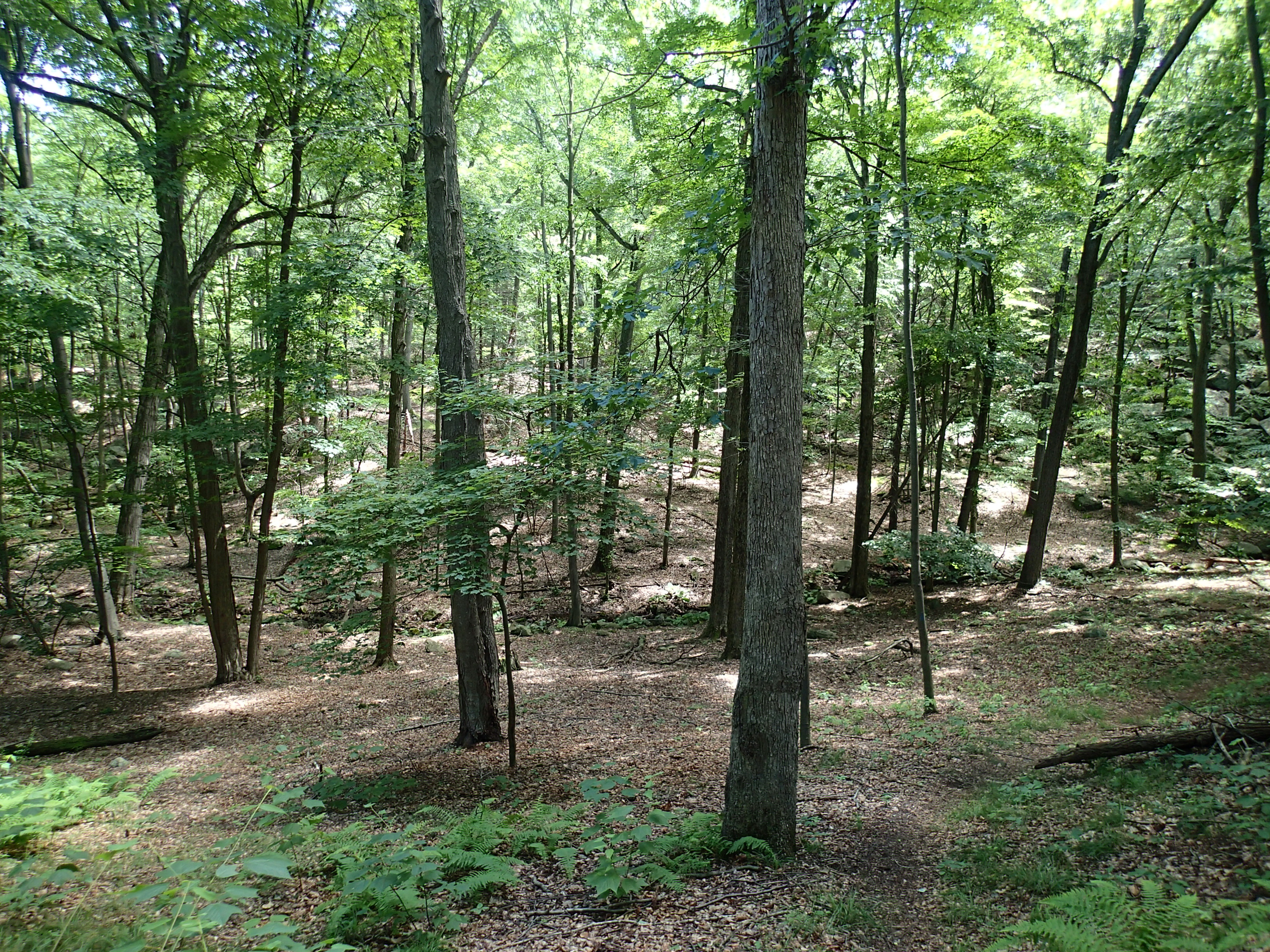 Hike the Osborn Loop