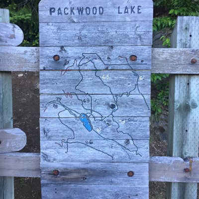 Hike to Packwood Lake