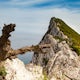 Hike the Mediterranean Steps & The Rock of Gibraltar