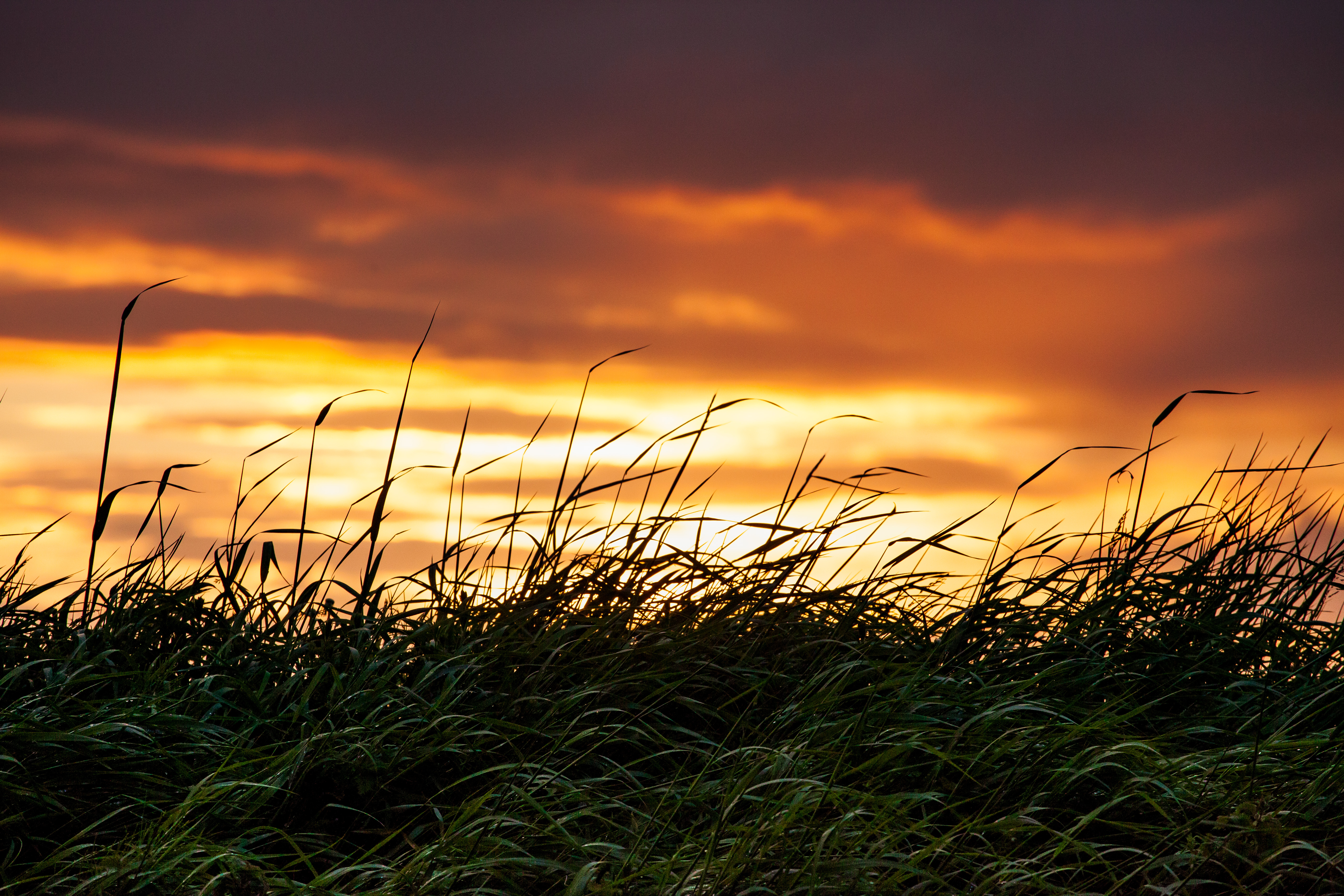 Explore Strandhill Beach