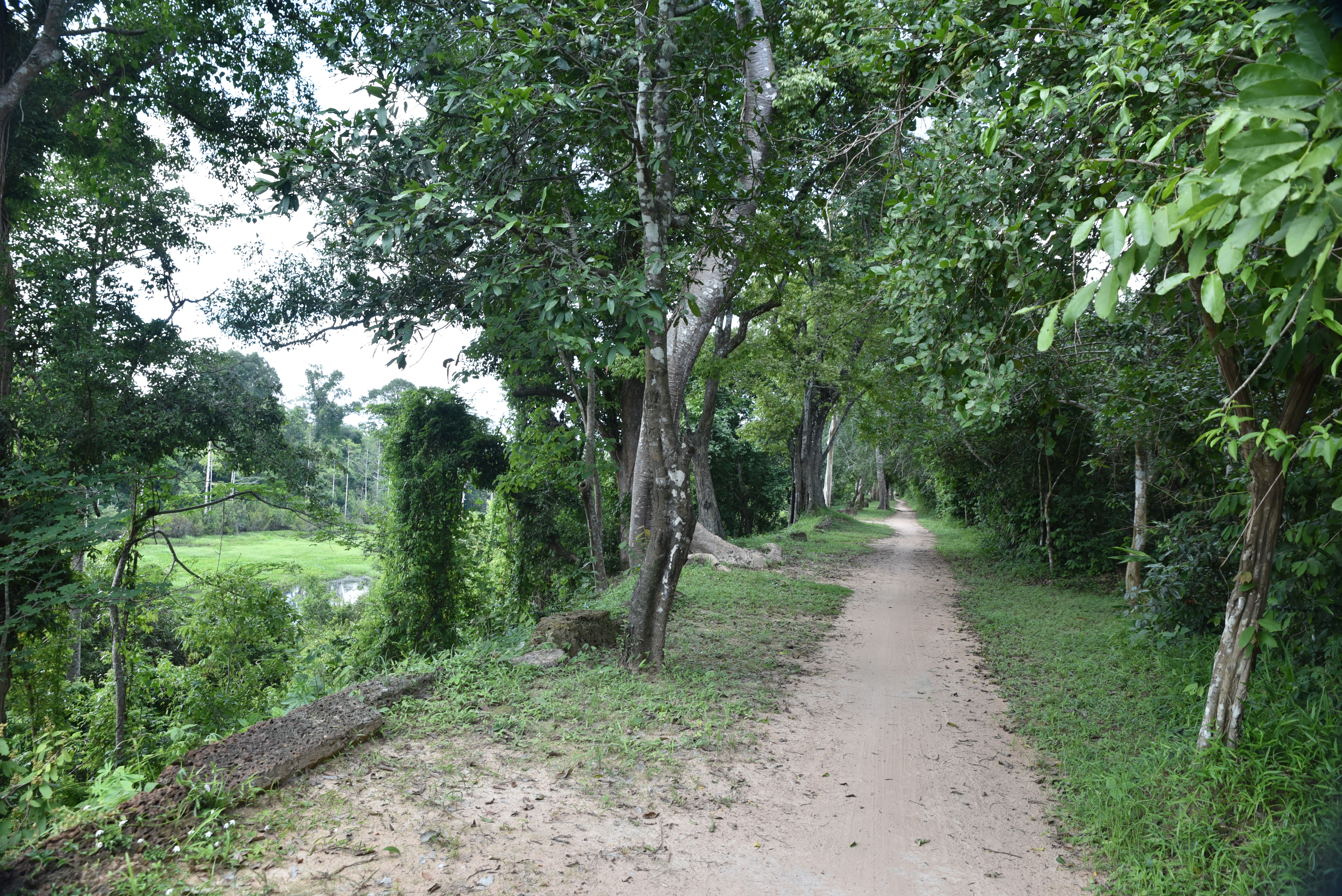 Hike the Angkor Thom Wall Trail
