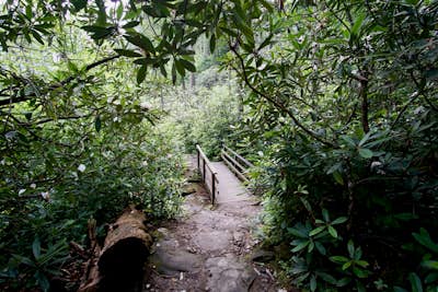 Hike Joyce Kilmer Memorial Forest Loop