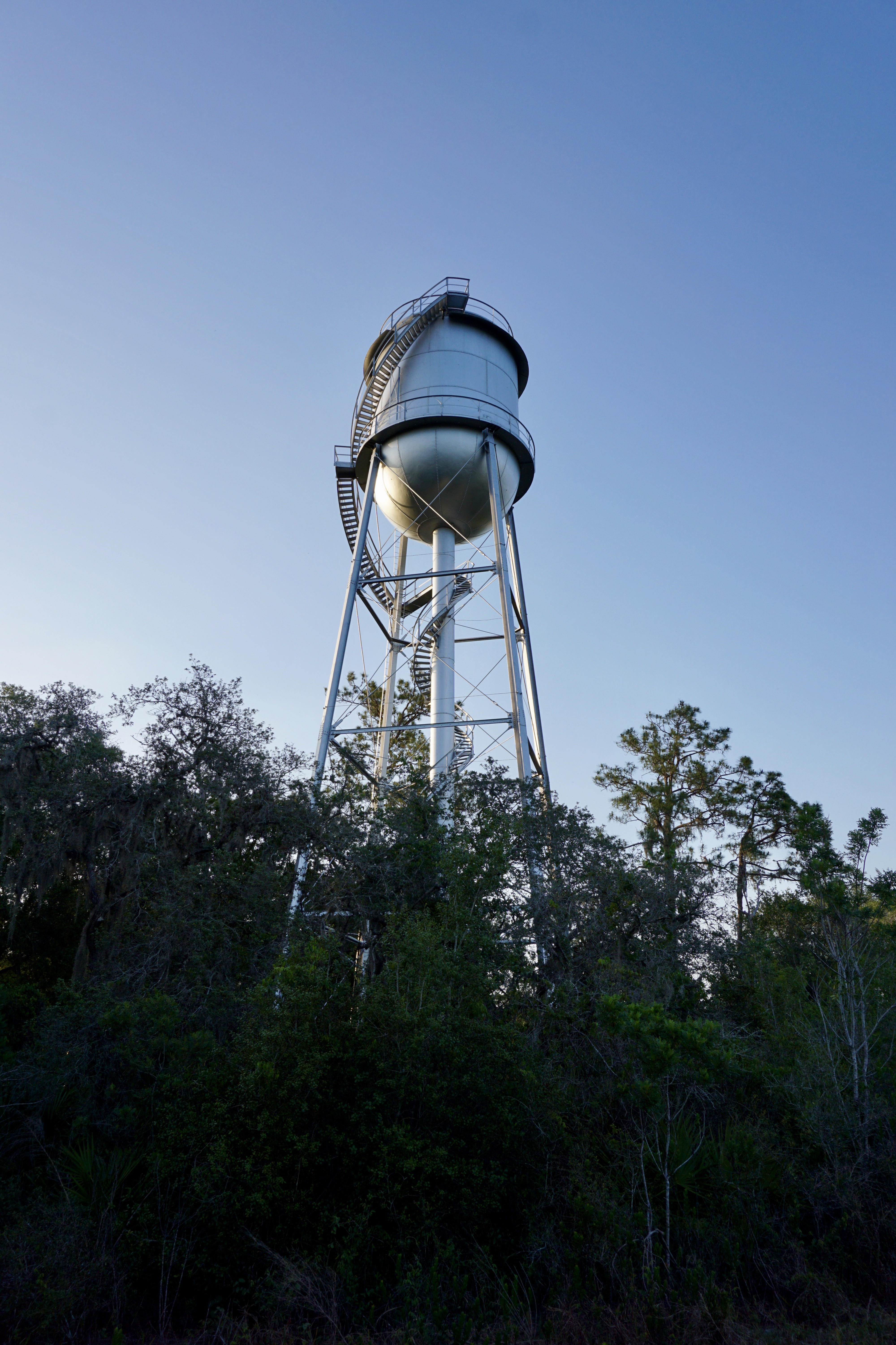 Hike the Florida Scrub Nature Trail at Archbold Research Station
