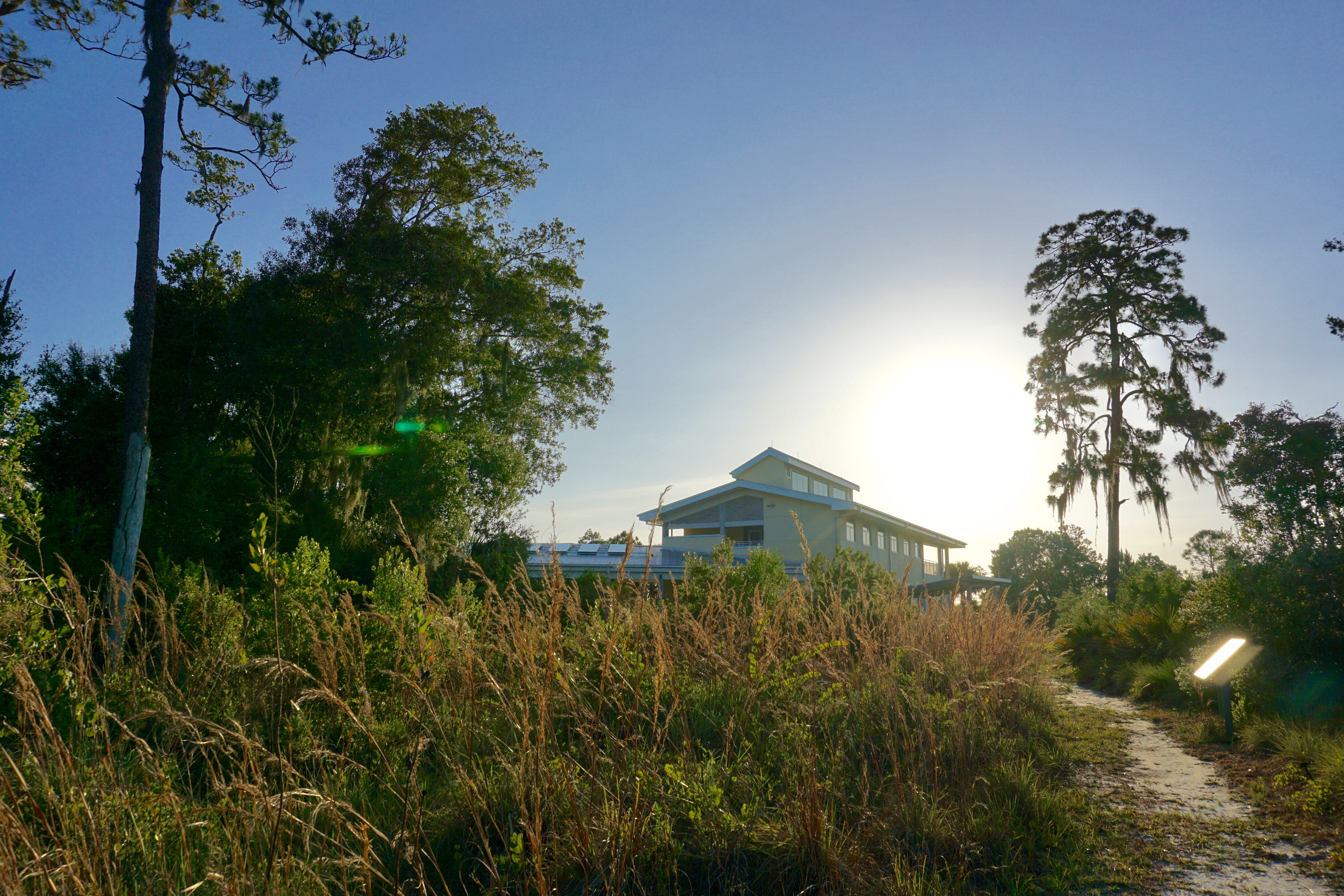 Hike the Florida Scrub Nature Trail at Archbold Research Station