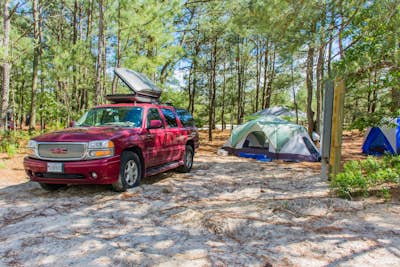 Camp at Cape Henlopen State Park
