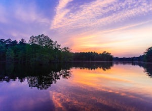 The 6 Best Camping Spots in Delaware
