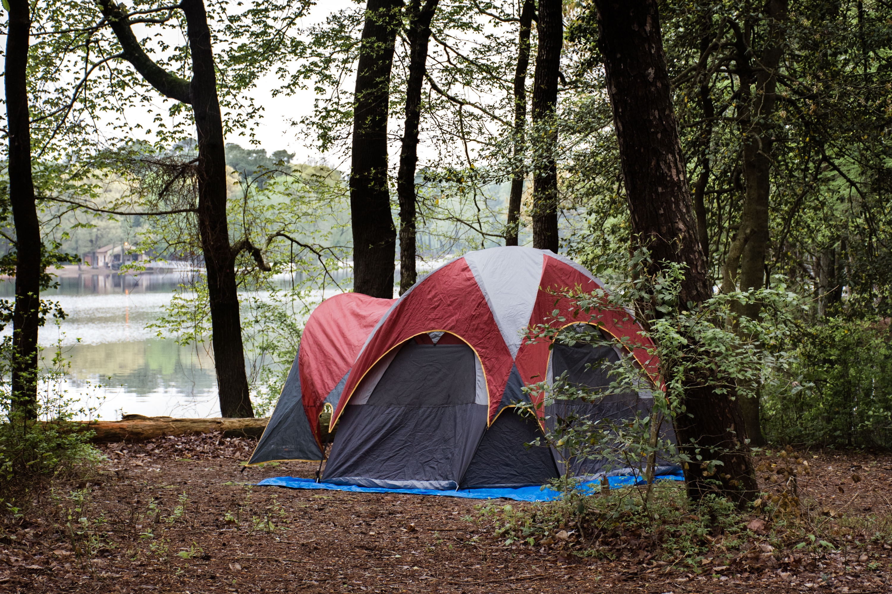 Camp at Trap Pond State Park