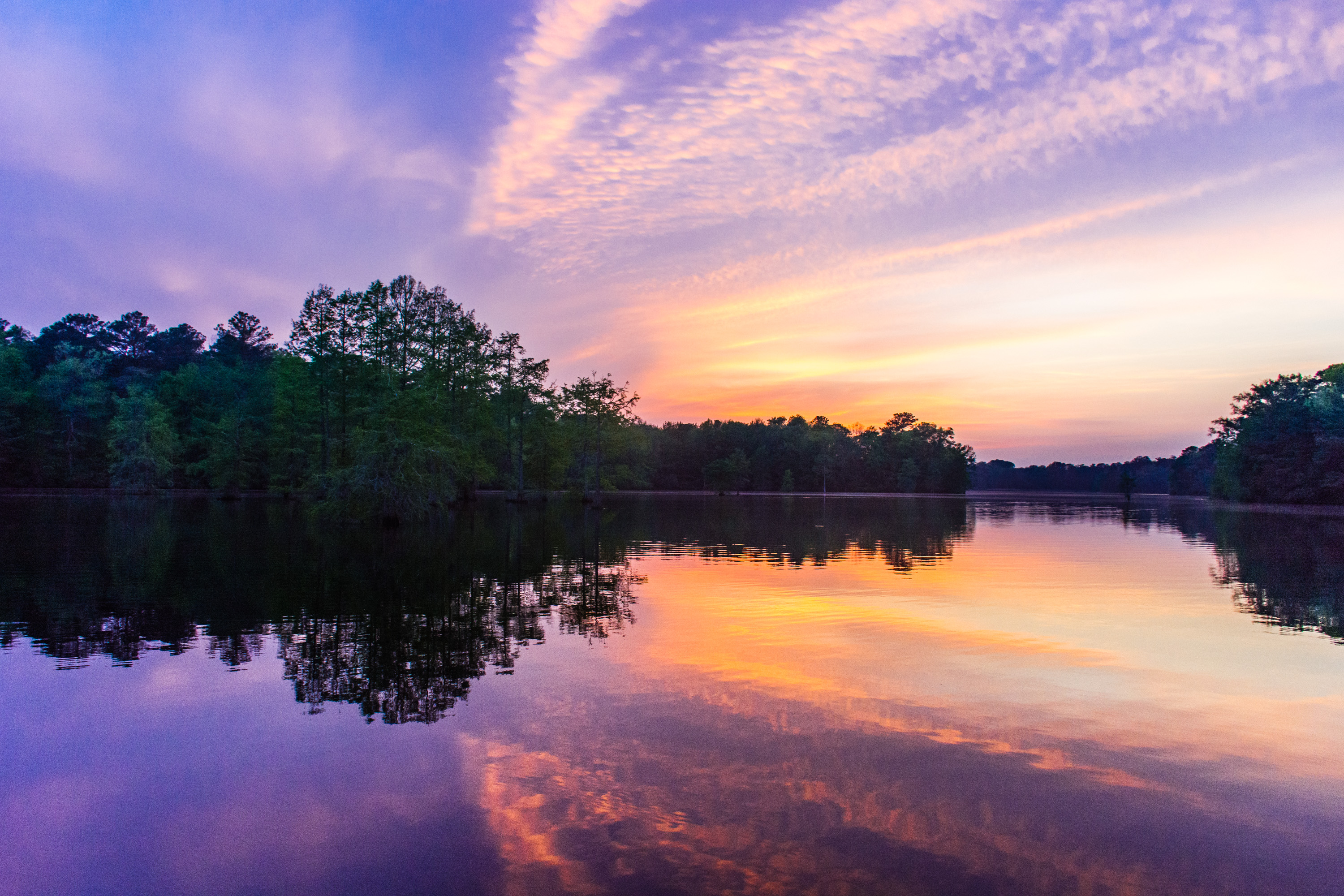Camp at Trap Pond State Park