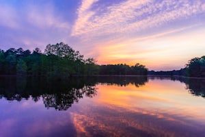 Camp at Trap Pond State Park