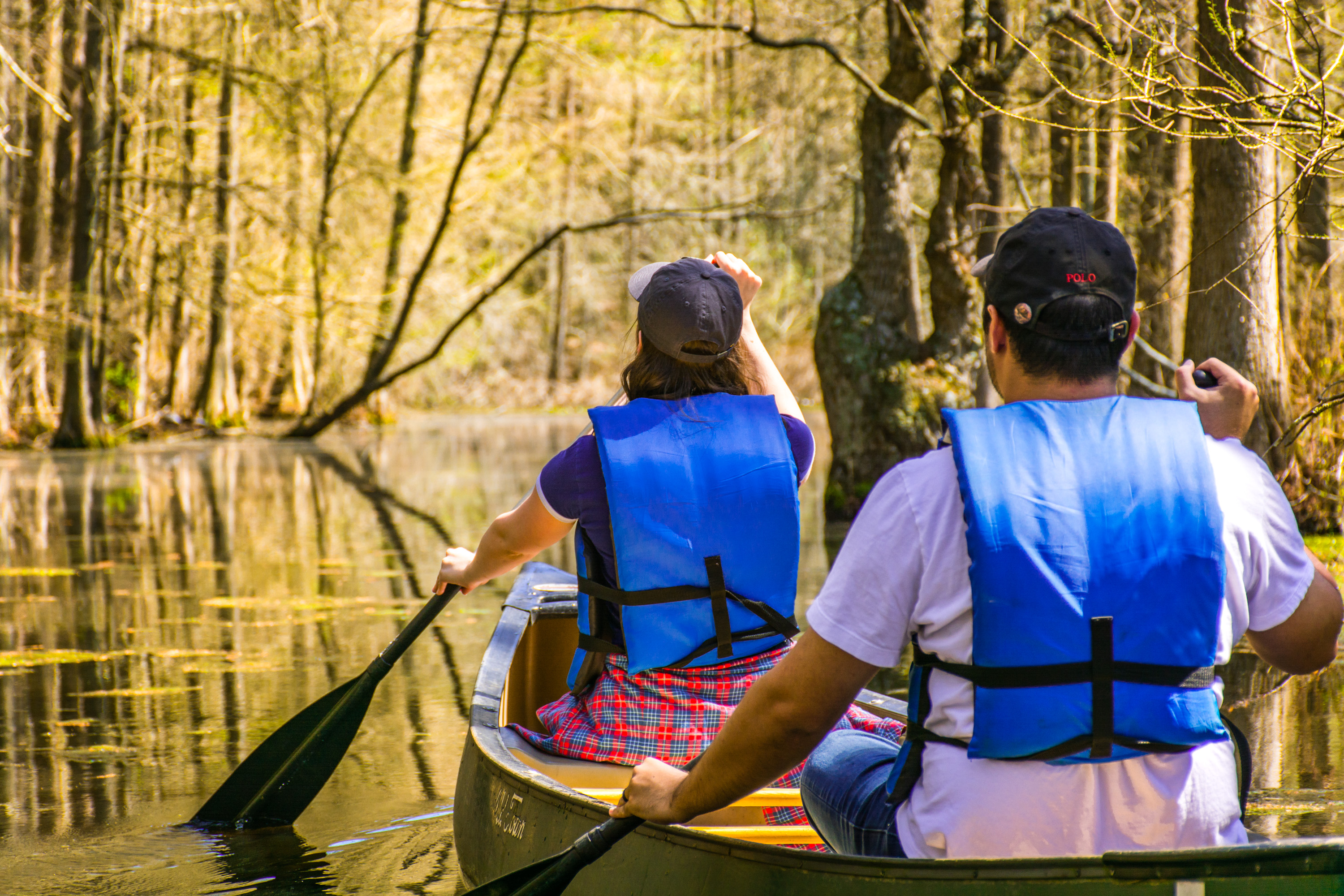 Camp at Trap Pond State Park