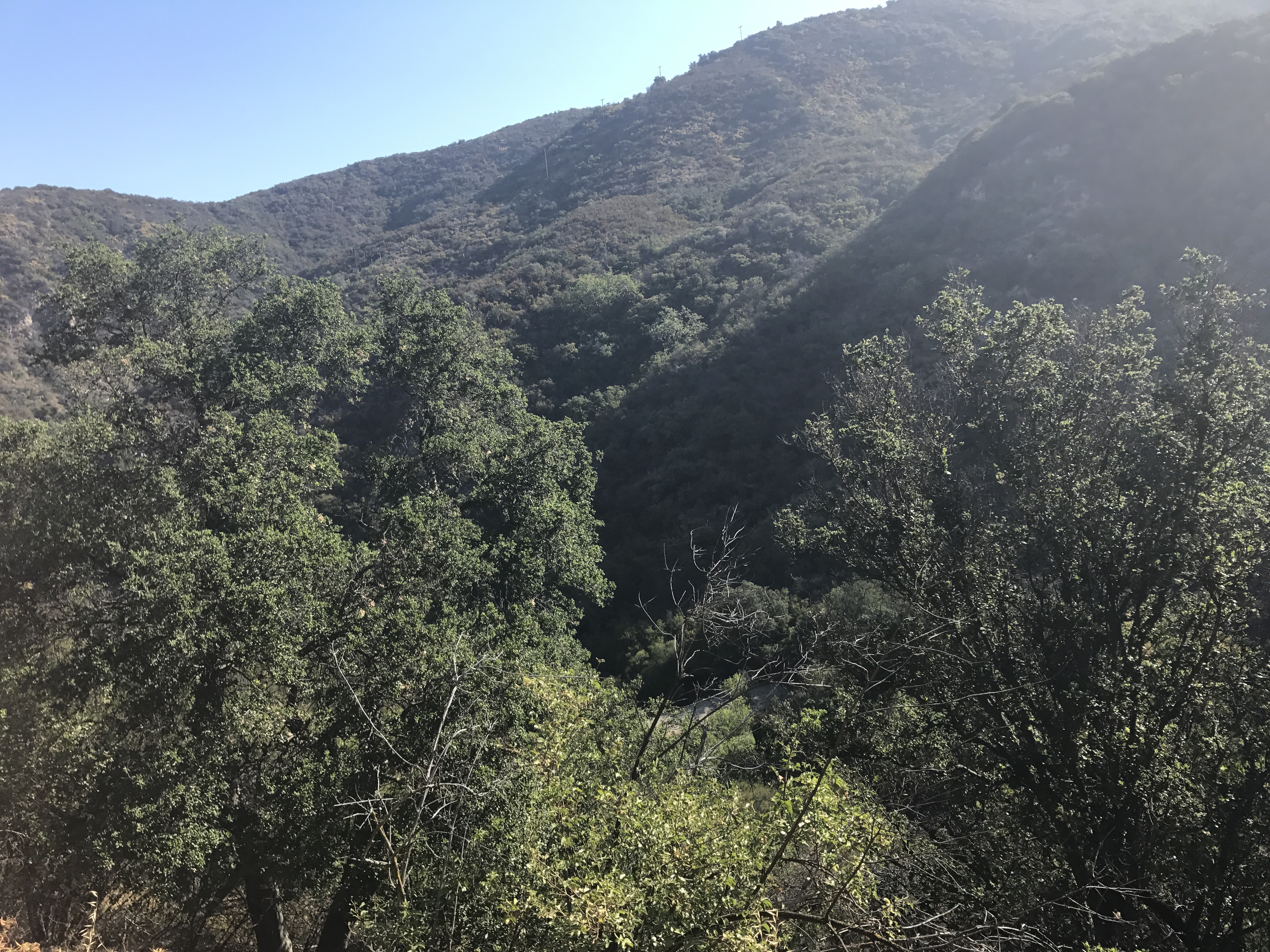 Hike the Backbone East from Latigo Canyon, Malibu, California