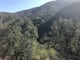 Hike the Backbone East from Latigo Canyon