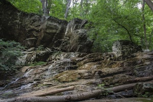 Hike to Hollow Brook Falls