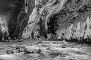 A Photo Tour of the Zion Narrows