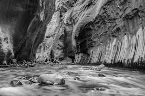 A Photo Tour of the Zion Narrows