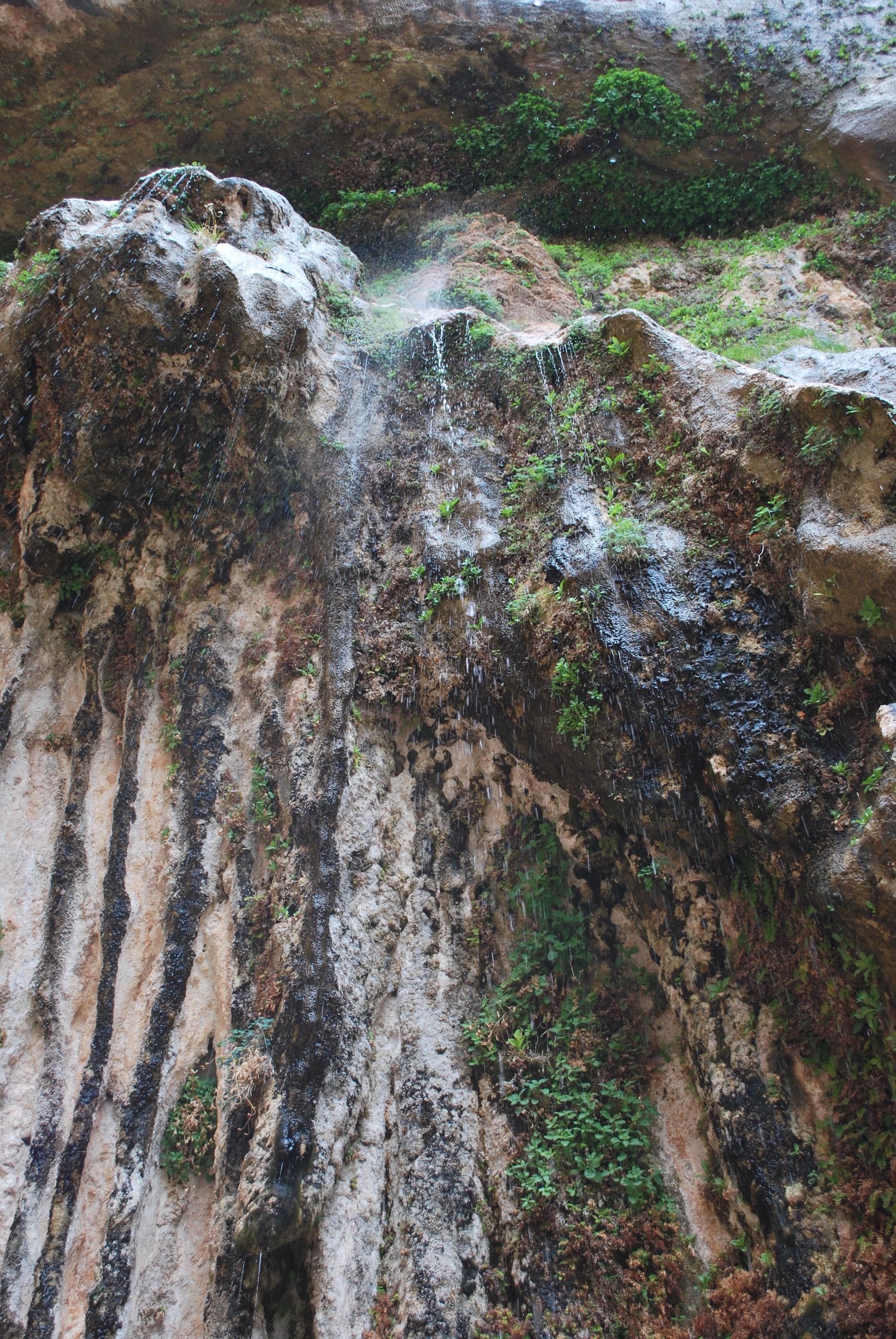 Weeping Rock