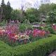 Visit the Olbrich Botanical Gardens