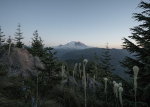 Catch the Sunset at Suntop Lookout