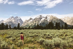 A Last Minute Road Trip: 24 Hours in Wyoming