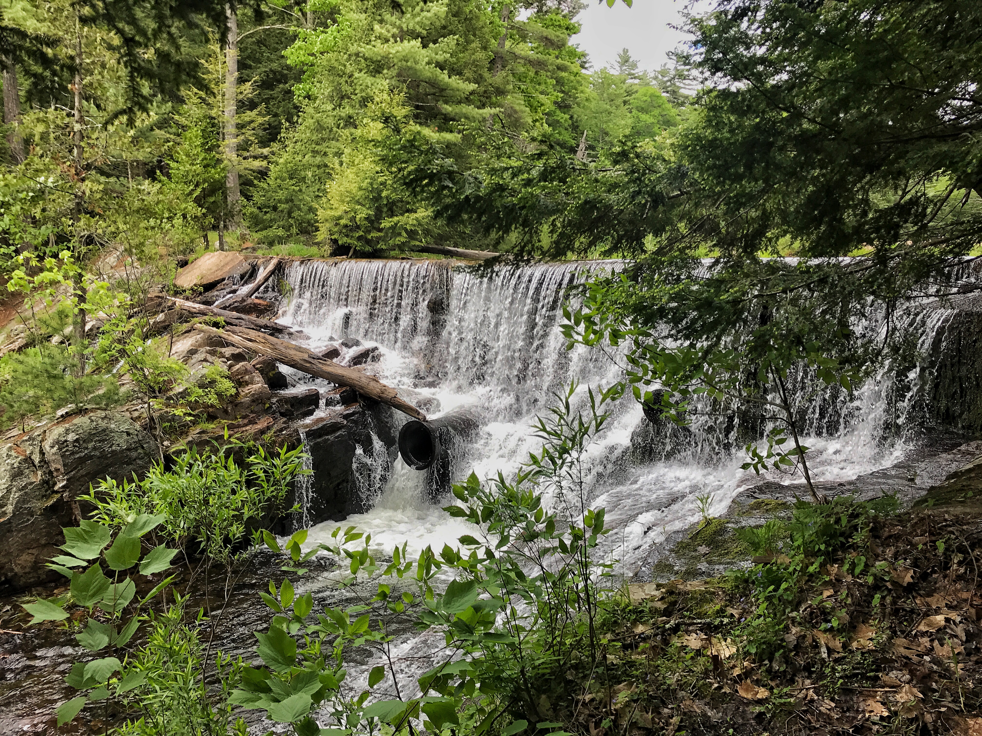 Shelving Rock Falls