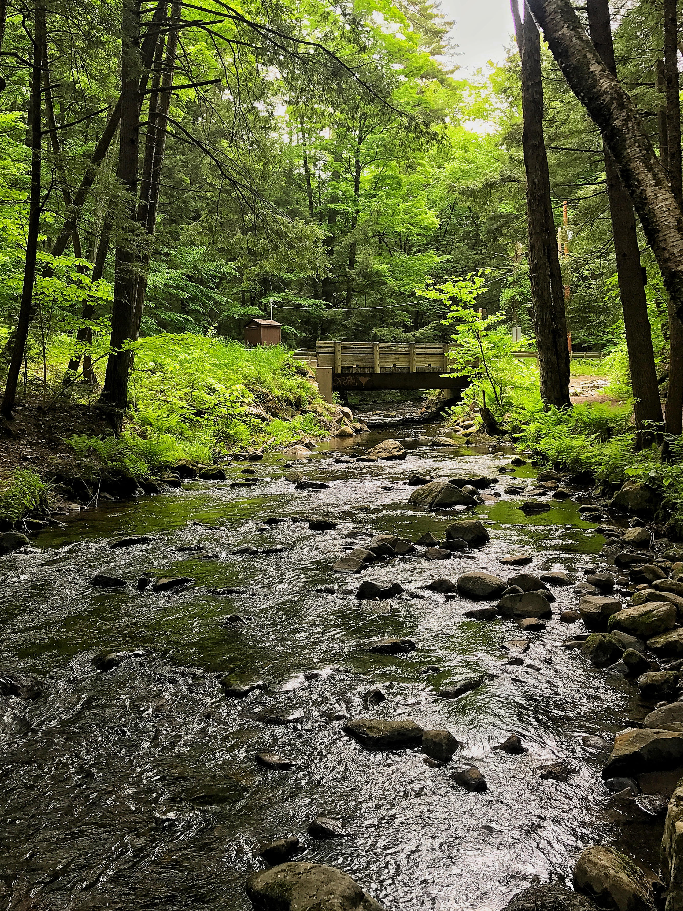 Shelving Rock Falls
