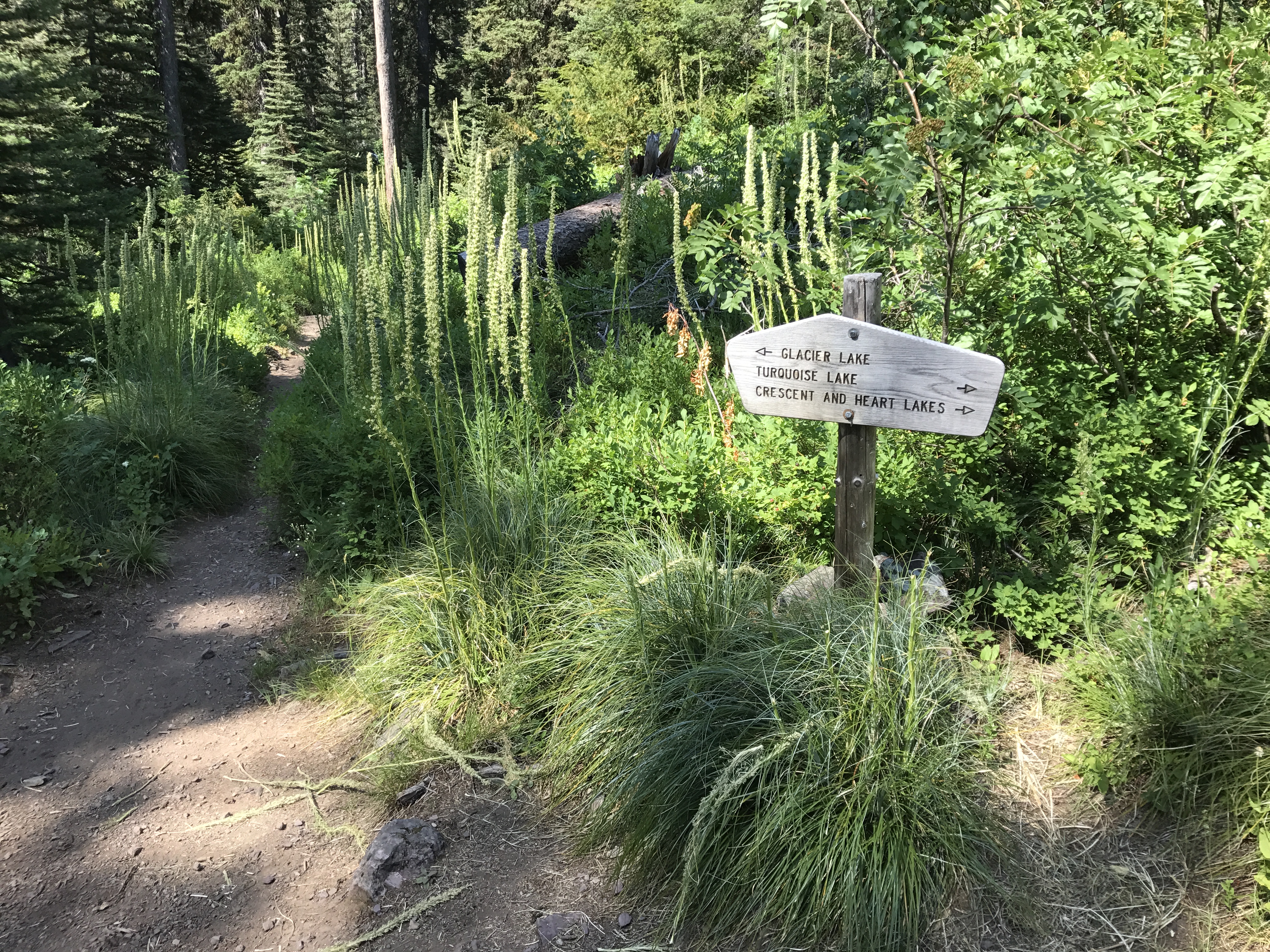 Hike to Crescent Lake