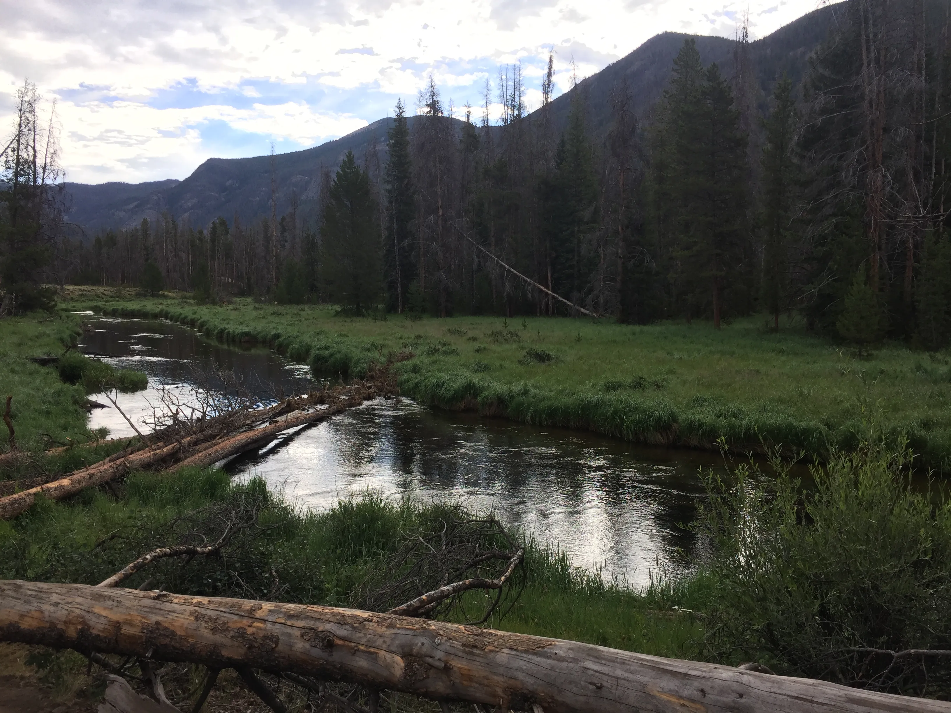 Hike to Cascade Falls, Rocky Mountain NP