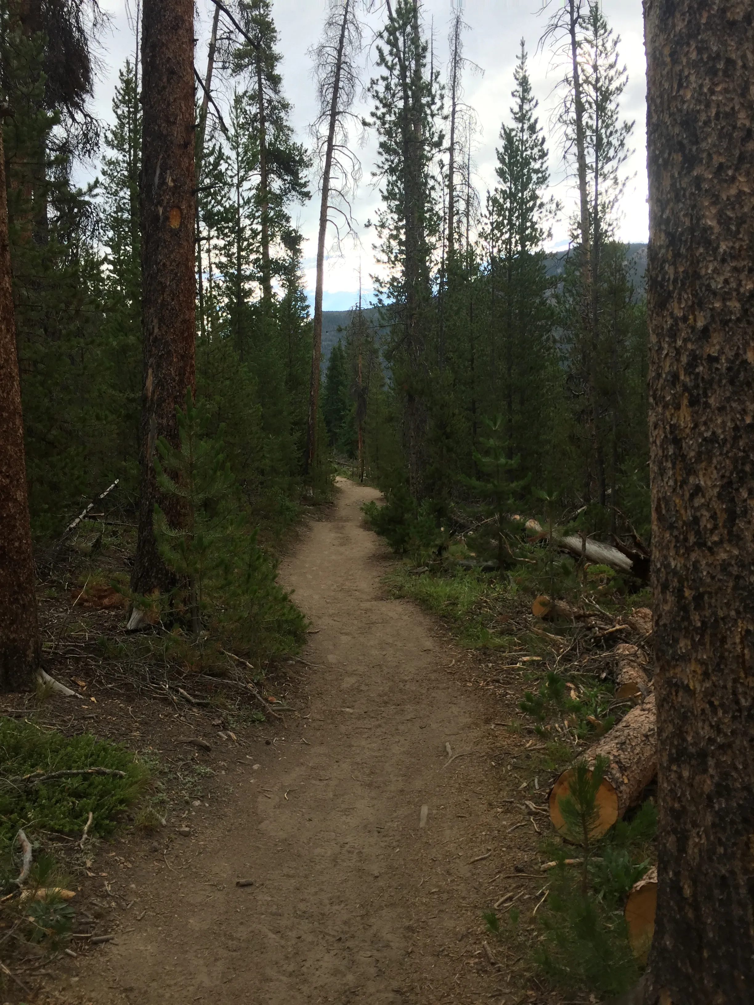 Hike to Cascade Falls, Rocky Mountain NP