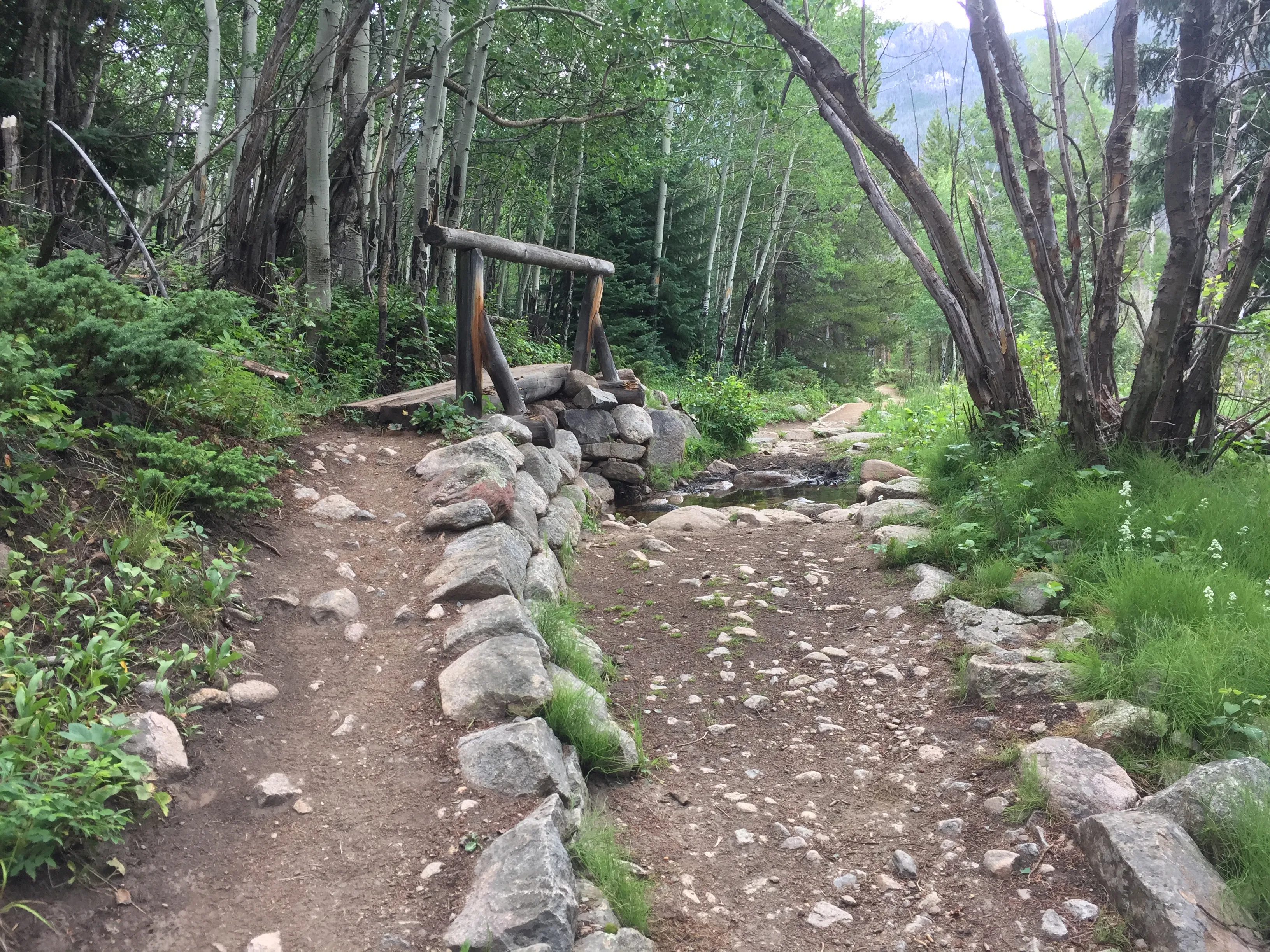 Hike to Cascade Falls, Rocky Mountain NP