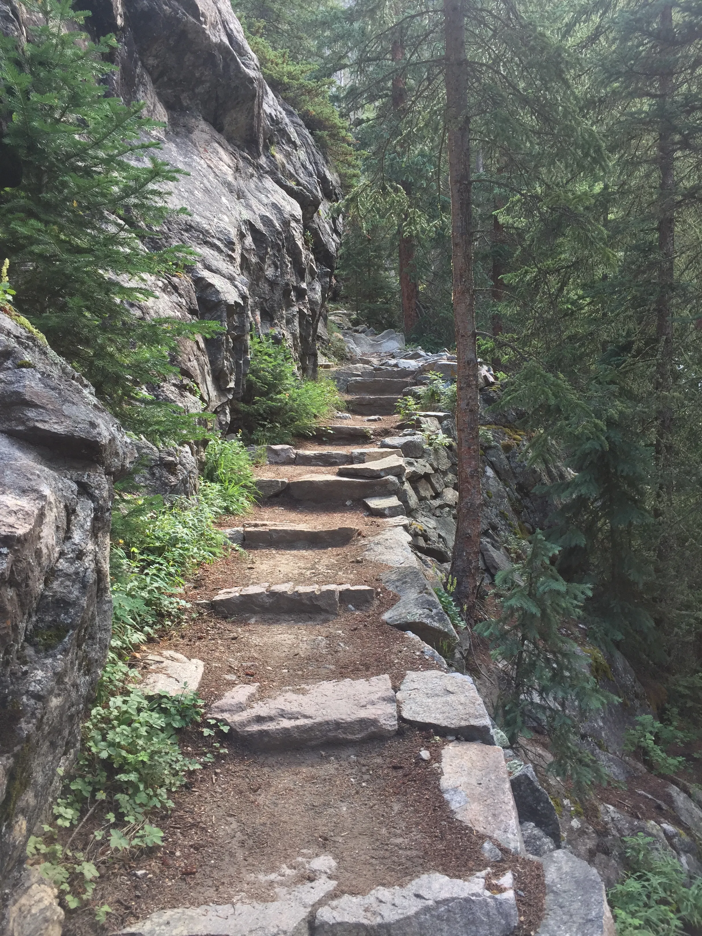 Hike to Cascade Falls, Rocky Mountain NP
