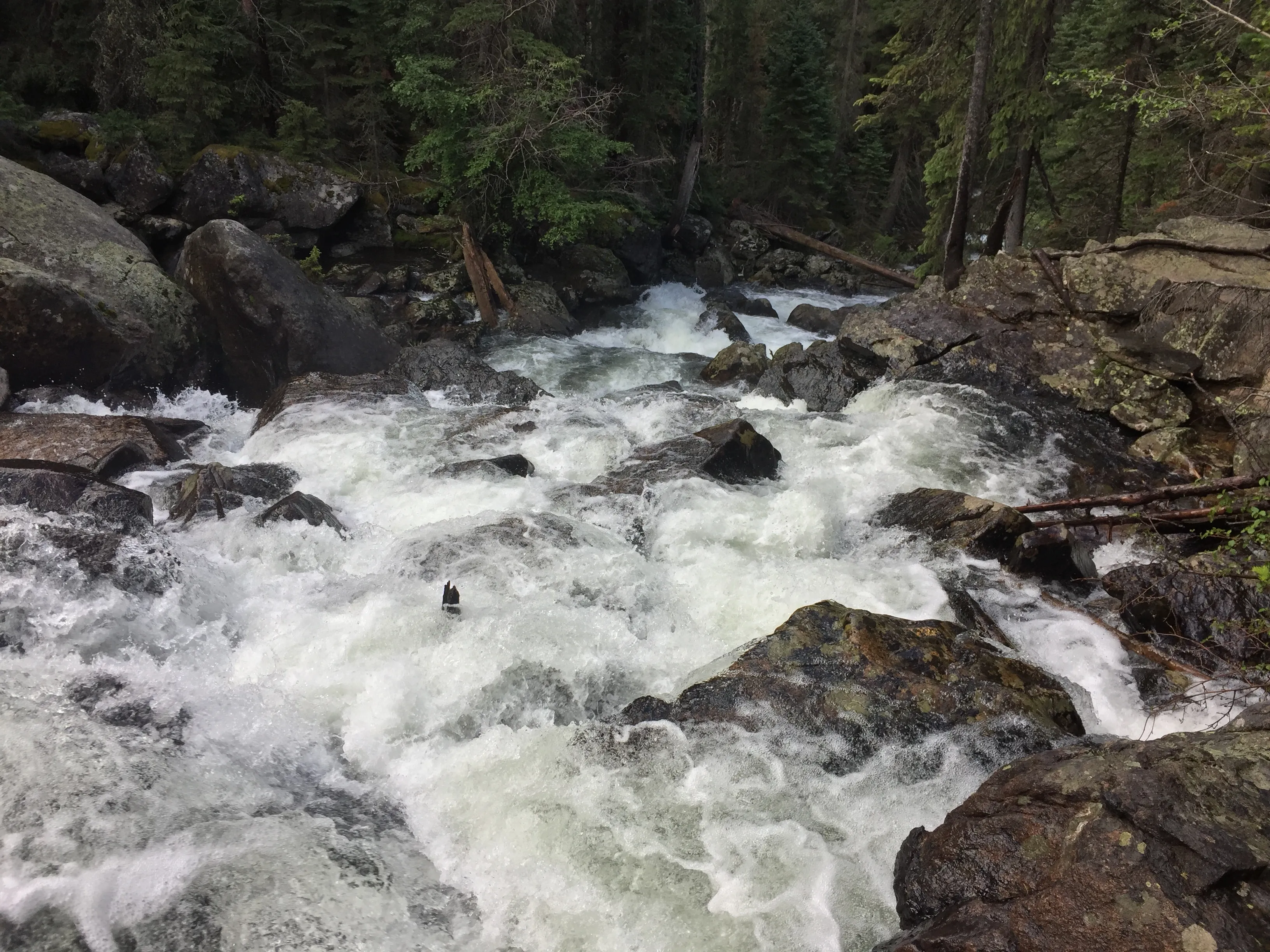 Hike to Cascade Falls, Rocky Mountain NP