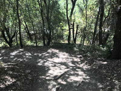 Hike the Seven Springs Trail Loop