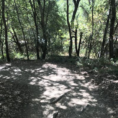 Hike the Seven Springs Trail Loop