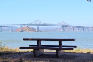 Picnic at Point Molate Beach Park