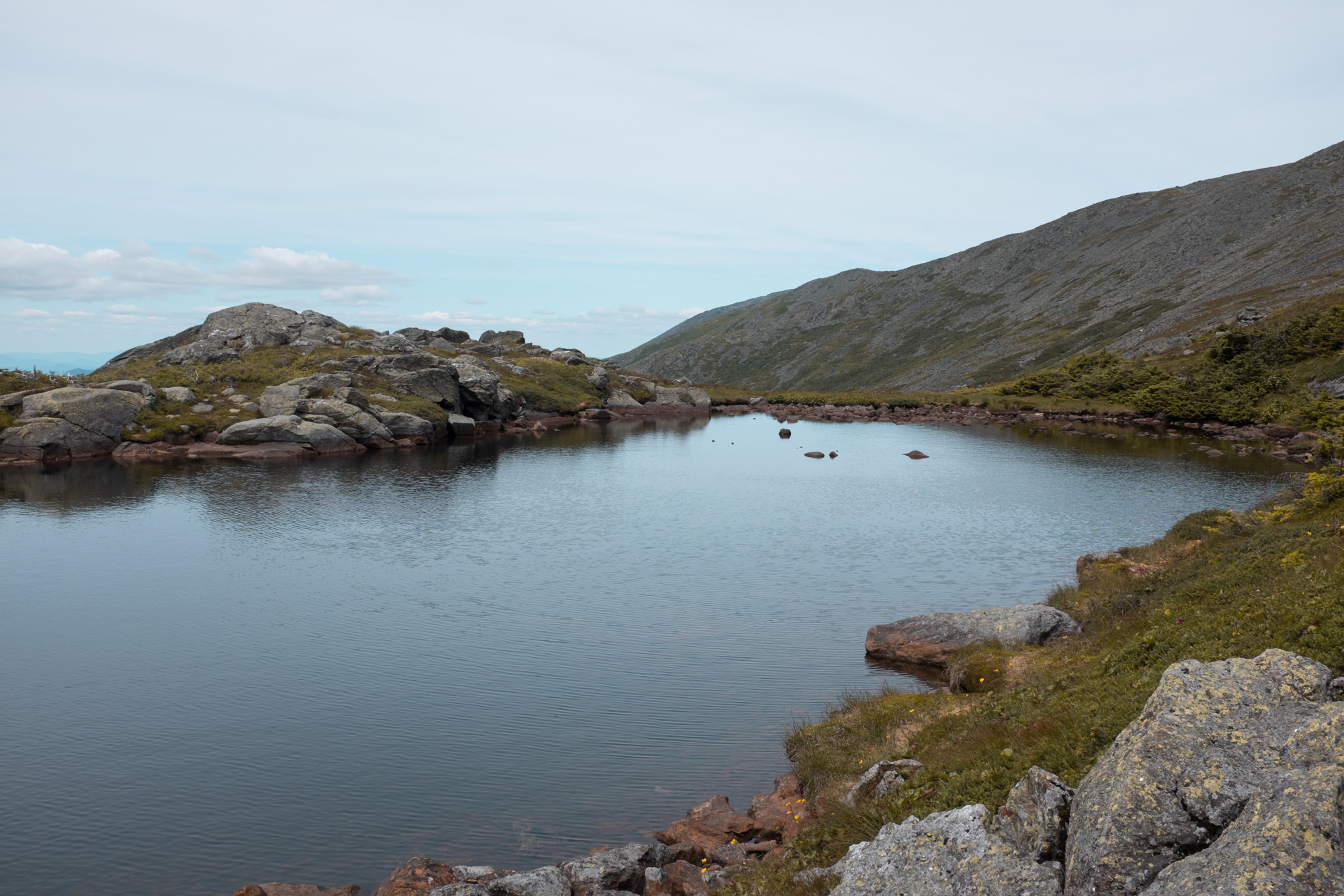 Photo of Hike Mt. Washington via Ammonoosuc Ravine Trail and Jewell Trail