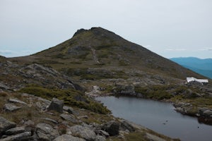 Hike Mt. Washington via Ammonoosuc Ravine Trail and Jewell Trail