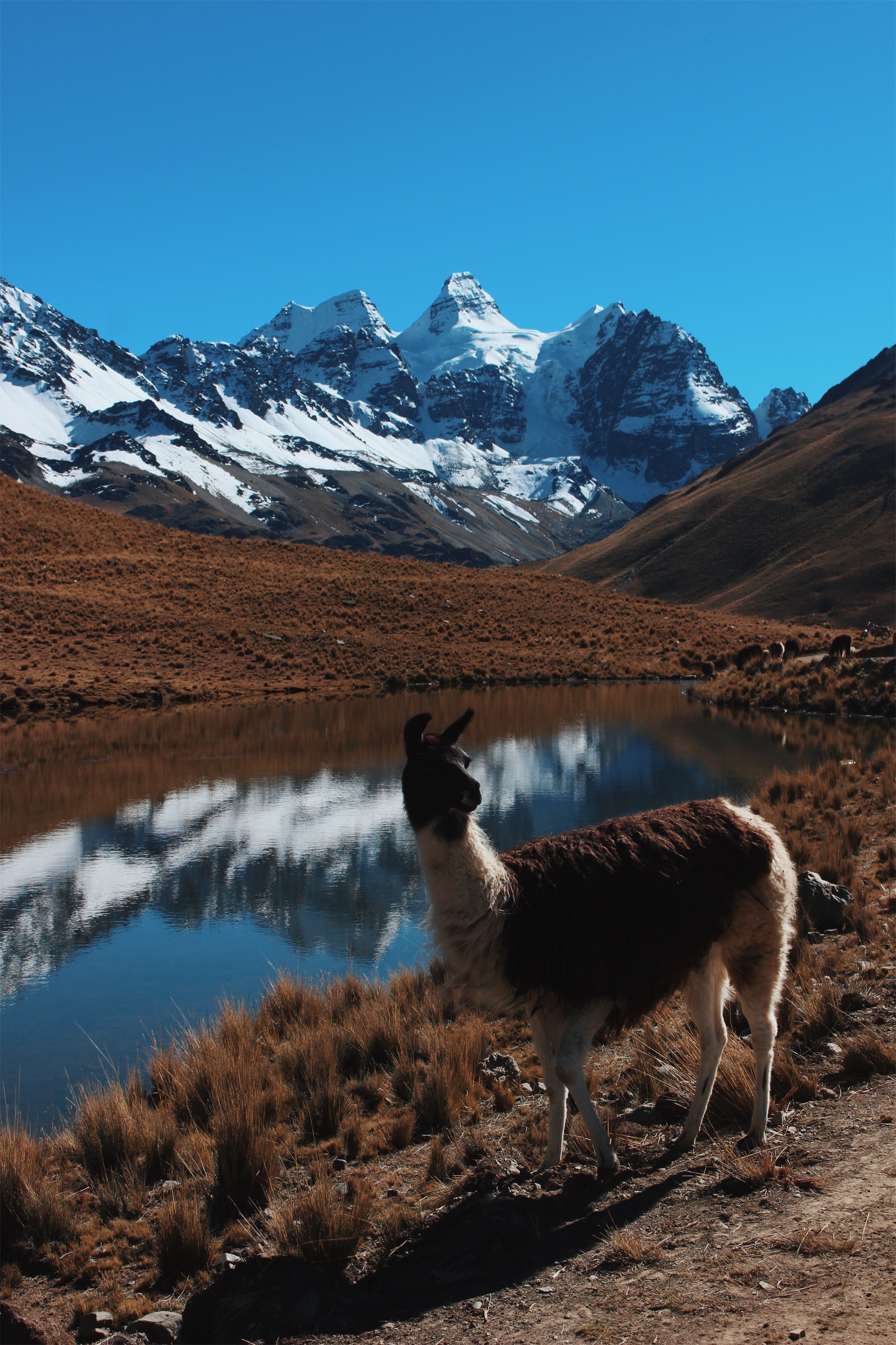 Hike Pico Austria