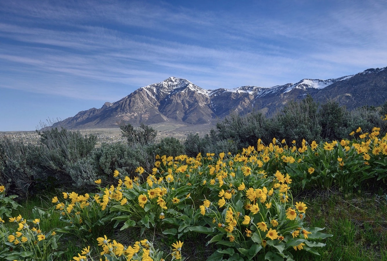 Northern Utah's Top 7 Backpacking Trips